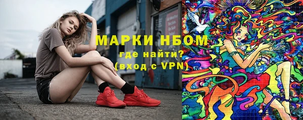 ПСИЛОЦИБИНОВЫЕ ГРИБЫ Аркадак