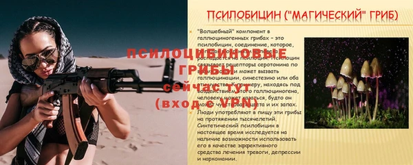 ПСИЛОЦИБИНОВЫЕ ГРИБЫ Аркадак