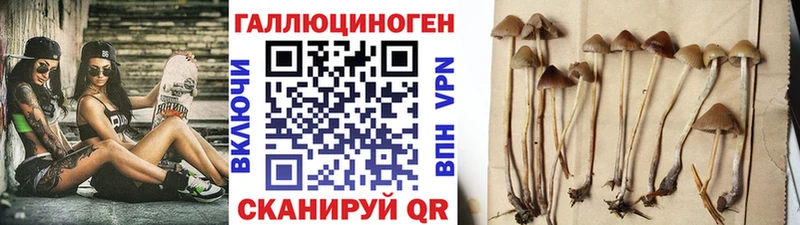 как найти наркотики Белокуриха Галлюциногенные грибы мухоморы